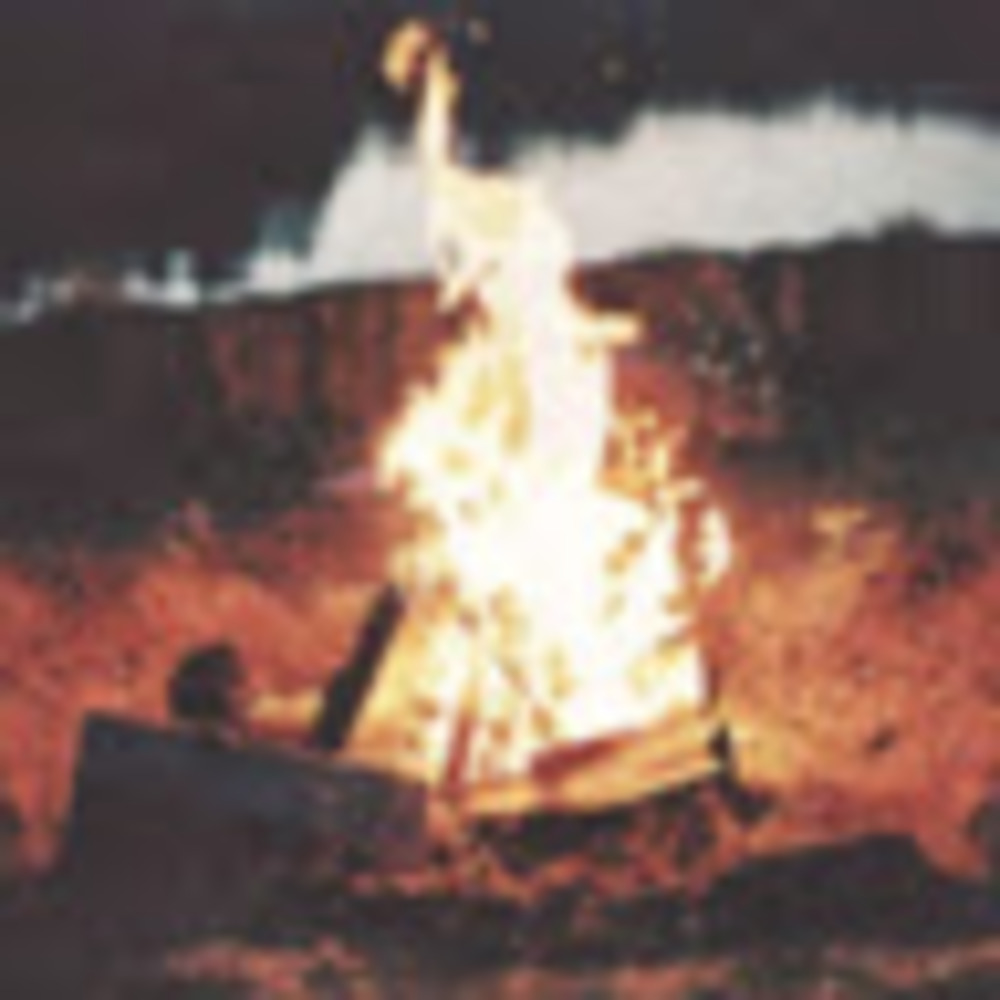 Meet your Posher, Bryce